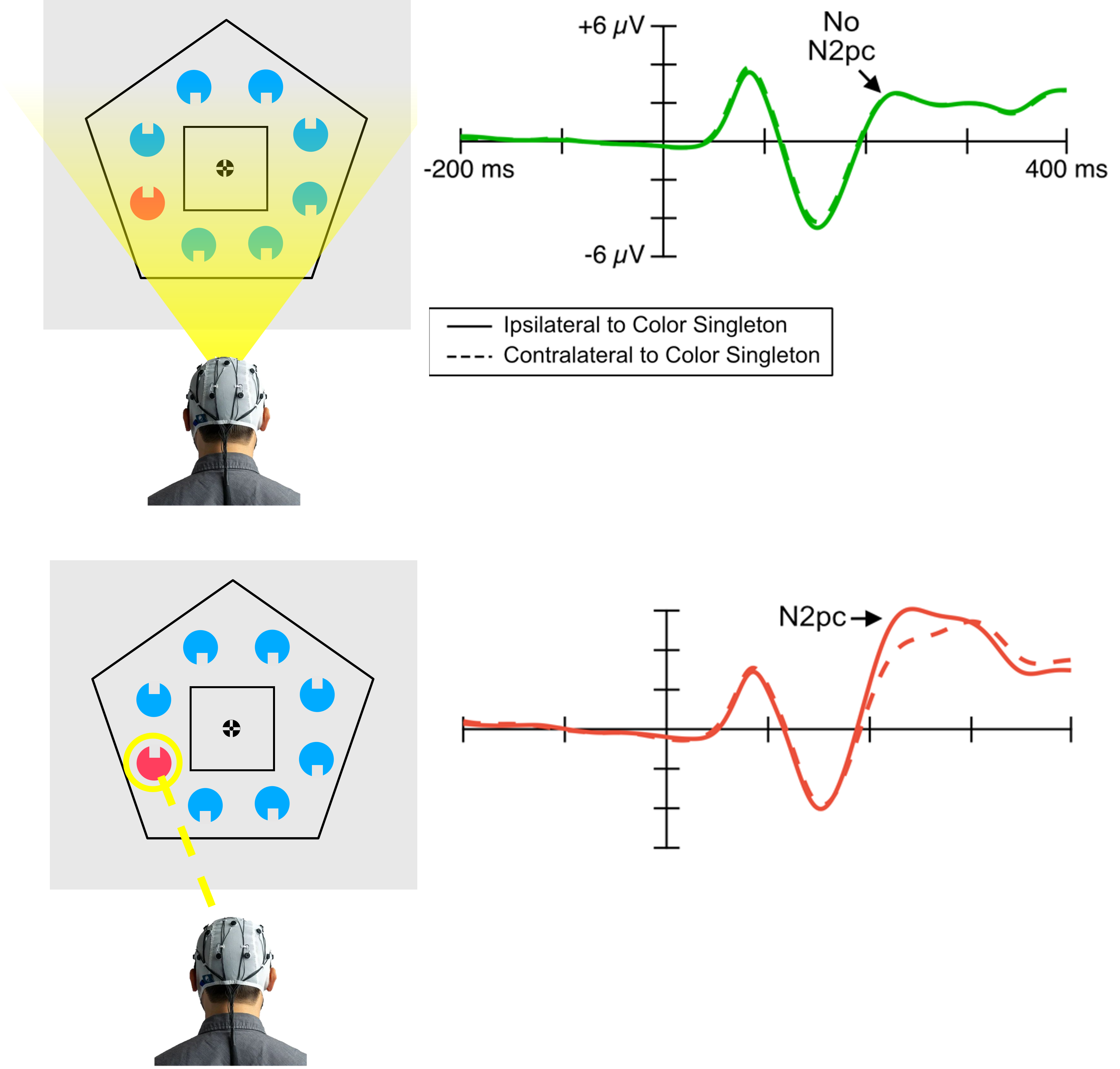 Illustration of the attentional window and strategic control of distraction.